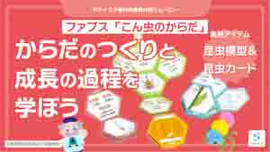 こん虫のからだ紹介動画サムネイル