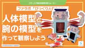びっくり人体もけい紹介動画サムネイル