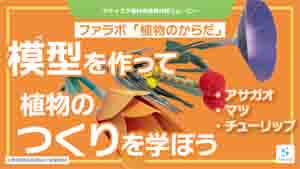 植物のからだ紹介動画サムネイル