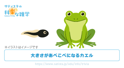 アベコベガエルの豆知識サムネイル