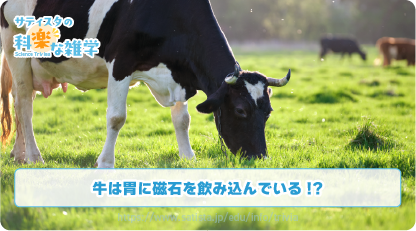牛の豆知識サムネイル
