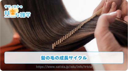 髪の毛の豆知識サムネイル