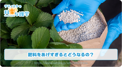 肥料の豆知識サムネイル