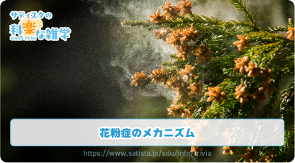 花粉症の豆知識サムネイル
