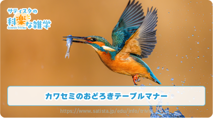 カワセミの豆知識サムネイル