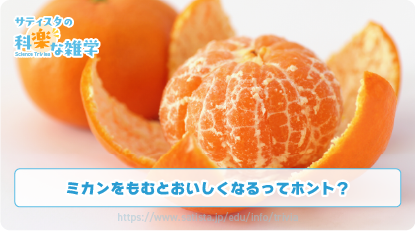 ミカンの豆知識サムネイル