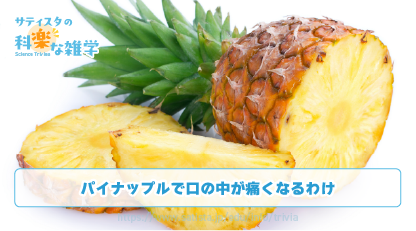 パイナップルの豆知識サムネイル