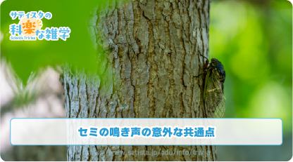 セミの鳴き声の豆知識サムネイル