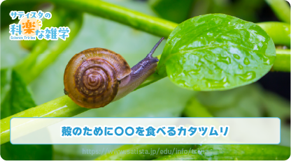 カタツムリの豆知識サムネイル