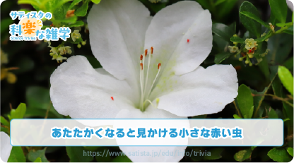 タカラダニの豆知識サムネイル