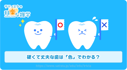 歯の色の豆知識サムネイル