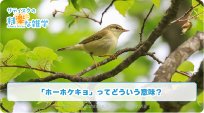 ウグイスの鳴き声の豆知識サムネイル